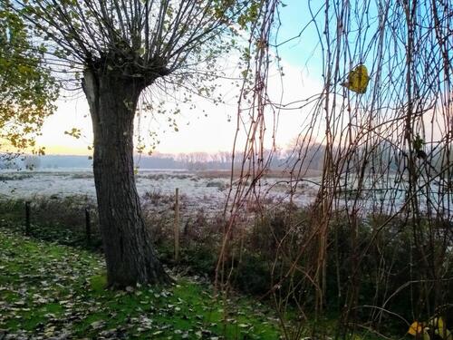 Foto - andere zur Miete in Boltenhagen