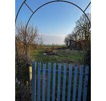 Kleingarten Altfranken - 380,00&nbsp;EUR Kaltmiete, ca.&nbsp; 0,00&nbsp;m&sup2; in Dresden (PLZ: 01156) Cossebaude