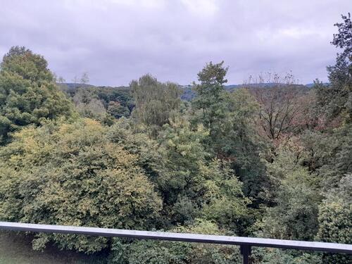 Foto - 1 Zimmer Etagenwohnung zur Miete in Vallendar