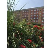 Panorama vor dem Balkon - 325,00&nbsp;EUR Kaltmiete, ca.&nbsp; 53,70&nbsp;m&sup2; in Olbersdorf (PLZ: 02785)