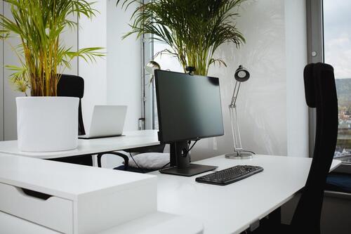 Foto - andere in Jena zur Miete