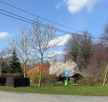 Klein Kordshagen nahe HST, 4 Zimmer, Neubau, Erstbezug, Terrassengarten, Kfz-Stellplatz - Steinhagen