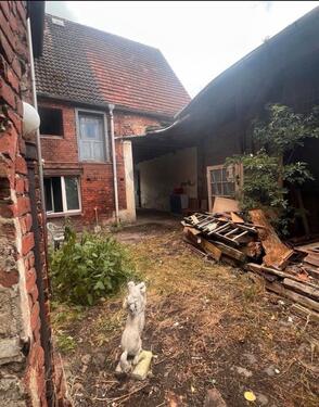 Foto - Einfamilienhaus in Sonnewalde zum Kaufen