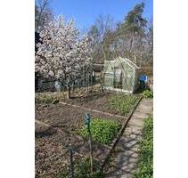 Kleingarten mit Outdoor Küche und sehr gemütlicher Sitzecke - Hoyerswerda