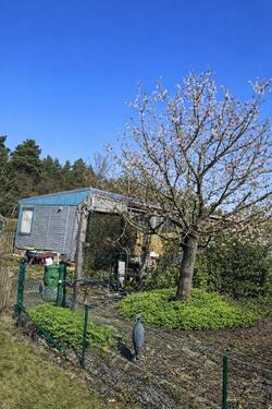 Foto - Grundst&uuml;ck zur Miete in Hoyerswerda