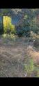 Foto - 14 Zimmer Einfamilienhaus in Ahlsdorf
