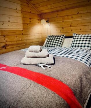 Foto - Hüttli im Wallis Rischinu. Chalet zu vermieten