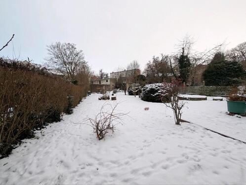 Foto - Erdgeschoßwohnung in Magdeburg zur Miete