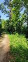 Foto - HOLZGOLD _ WaldGrundstück _ Nähe Schlossruine Waseneck