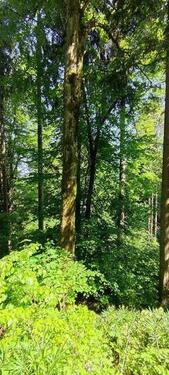 Foto - Grundstück in Oberndorf am Neckar zur Miete