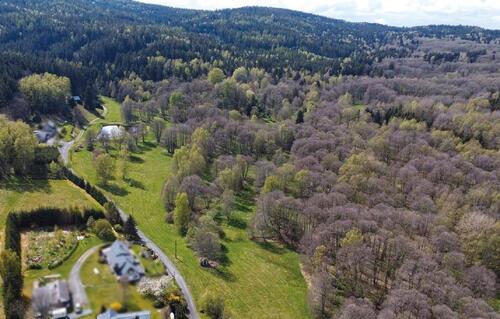 Foto - Kleine Wald- und Wiesenflächen - 600,00 EUR Kaltmiete, ca.  0,00 m²