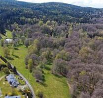 Kleine Wald- und Wiesenflächen - 600,00 EUR Kaltmiete, ca.  0,00 m² in Bad Brambach (PLZ: 08648)