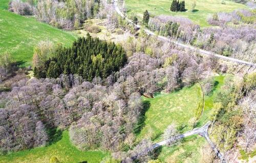 Foto - Grundstück zum Kaufen in Bad Brambach