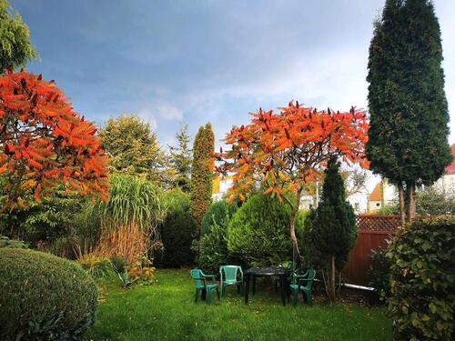 Foto - 3 Zimmer Etagenwohnung zur Miete in Greifswald