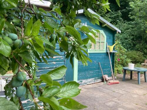 Foto - Kleingarten - 550,00 EUR Kaltmiete, ca.  0,00 m²
