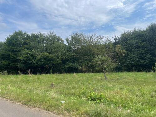 Foto - Landwirtschaftliche Fläche im Naturschutzgebiet für 100€ im Monat