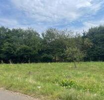 Landwirtschaftliche Fläche im Naturschutzgebiet zu verpachten