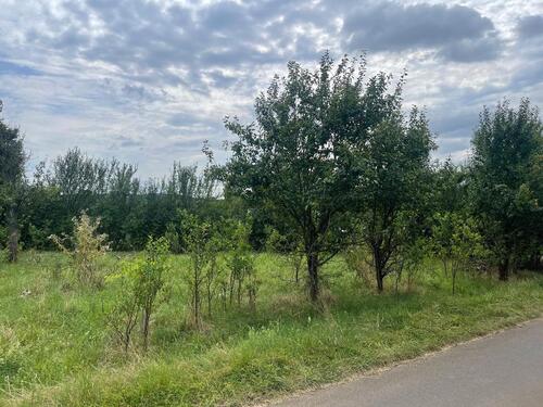 Foto - Grundstück zur Miete in Lich