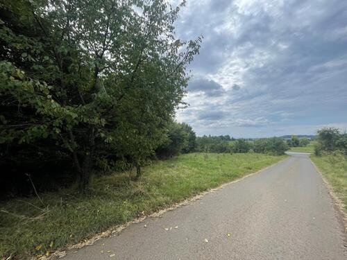 Foto - Grundstück in Lich zur Miete