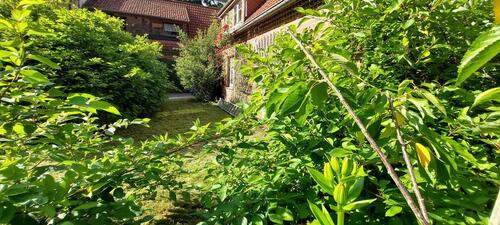 Foto - Erdgeschoßwohnung in Schneverdingen zur Miete