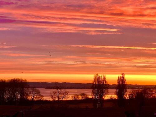 Foto - 5 Zimmer Reihenhaus in Gaienhofen