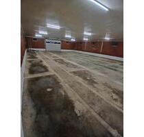 Lagerhalle, Produktionshalle, Gewerbe Immobilie - Hilter am Teutoburger Wald