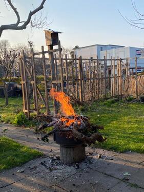 Foto - Kleingarten 200m2 im Verein Alt-Probstheida e.V.