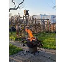 Kleingarten 200m2 im Verein Alt-Probstheida e.V. - Leipzig Südost