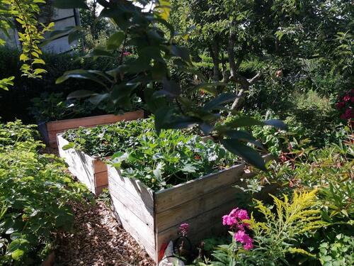 Foto - Garten mit Häuschen nahe bei Ostsee und Bodden