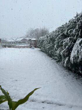 Foto - 6 Zimmer Maisonettenwohnung zur Miete in Schwarzenbek