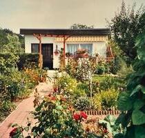 Garten mit Laube abzugeben in Sassnitz