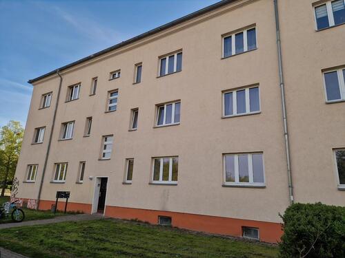 Foto - Mit dem Frühling in die neue Wohnung - leben im Stadtteil Cracau!