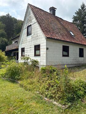 Foto - 5 Zimmer Einfamilienhaus zum Kaufen in 