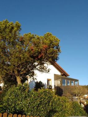 Foto - Einfamilienhaus in Bad Griesbach im Rottal