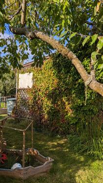 Foto - Grundst&uuml;ck in Rostock