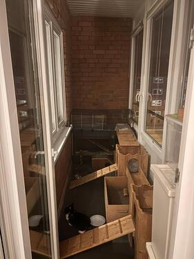 Foto - 3 Zimmer Etagenwohnung zur Miete in Kiel