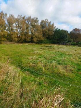 Foto - Idyllisches Freizeitgrundstück direkt am Teich in Ostseenähe