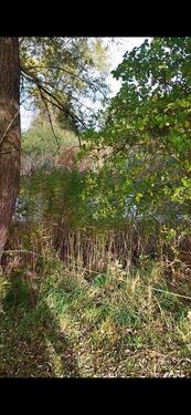 Foto - Grundst&uuml;ck in Bad Kleinen zur Miete