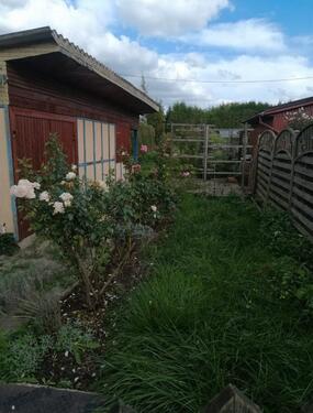 Foto - Kleingarten im KGV Köttewitz zu verpachten