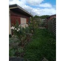 Kleingarten im KGV Köttewitz zu verpachten - Pirna