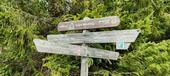 Foto - Last Minute Urlaub Harz St. Andreasberg
