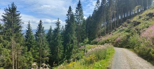 Foto - andere zur Miete in Braunlage