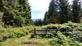 Foto - andere in Braunlage
