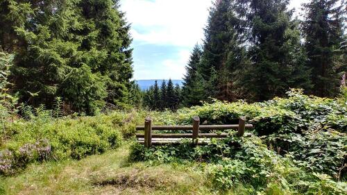 Foto - andere in Braunlage