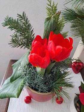 Foto - wg zimmer in Groß Gerau - 400,00&nbsp;EUR Kaltmiete, ca.&nbsp; 70,00&nbsp;m&sup2;