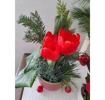 wg zimmer in Groß Gerau - 400,00&nbsp;EUR Kaltmiete, ca.&nbsp; 70,00&nbsp;m&sup2; in Groß-Gerau (PLZ: 64521)