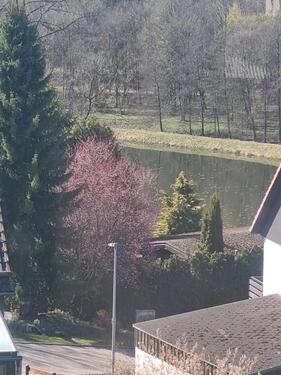 Foto - Wunderschöne 3-Zimmerwohnung mit Seeblick Clausthal-Zellerfeld