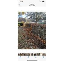 Stellplätze zum mieten in Bad Wildungen Reinhardshausen