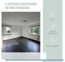Helle & hochwertige 4 Zimmer Wohnung im Zentrum von Westerburg