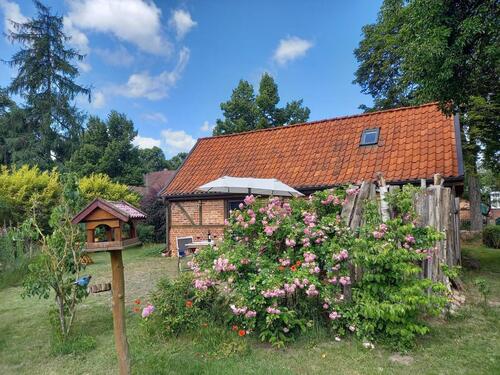 Foto - andere zur Miete in Vellahn